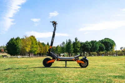 Scooter elettrico a basso prezzo Teverun GT Plus Dirt Bike