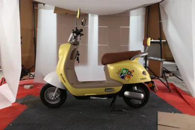 Promozione Prezzo a buon mercato 60V20ah batteria acido di piombo scooter elettrico per Donna
