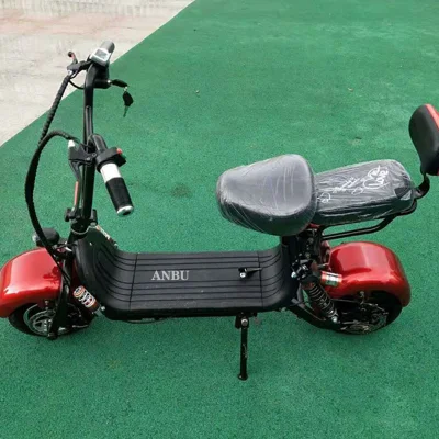 Bici EEC Coc 800W 48V Personalizza colore Donna uomo elettrico Scooter Cityco Fat Tire Scooter elettrico