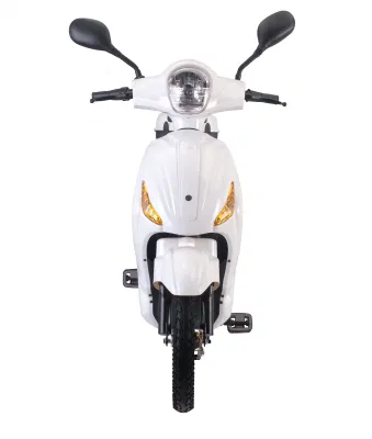 Fold Adulti bici elettrica con pedali magazzino intelligente con luce