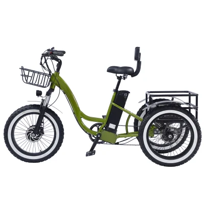 Triciclo elettrico in piedi triciclo elettrico De Pasagero tre ruote elettriche Bicicletta per adulti