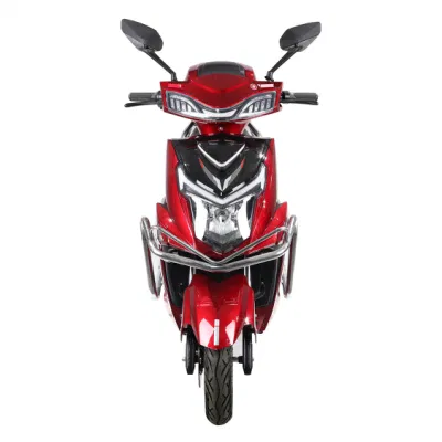 Pardo ZS Fashion High Speed Ebike più popolare con piombo-acido Batteria