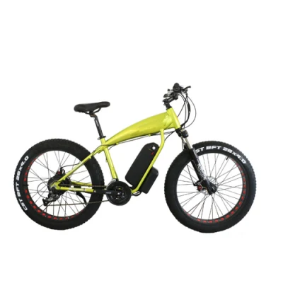 2021 Bicystar Brand Electric Chopper Fat Bike ciclo 29 pollici Bicicletta 1500 W per uomo in vendita