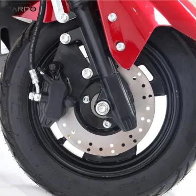 Pardo ZS Fashion High Speed Ebike più popolare con piombo-acido Batteria