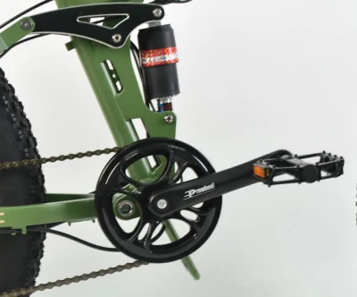 Bici elettrica Cruiser da 26 pollici, fatbike da 48 V.