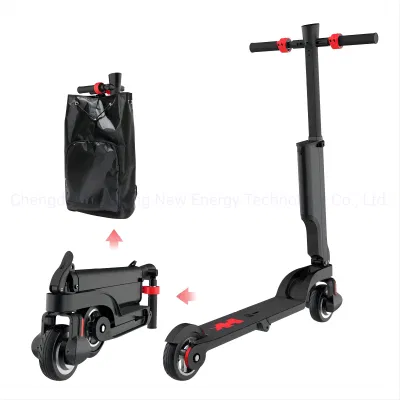 Scooter elettrici portatili da 250 W con bicicletta elettrica pieghevole Scooter elettrico per adulti a due ruote