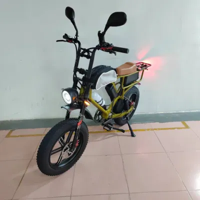 Bicicletta elettrica da città Samsung a batteria da 750 W con motore a bang da 52 V e 22 ah EBike
