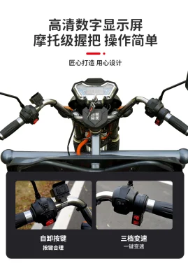 Triciclo elettrico di carico, triciclo elettrico per impieghi gravosi, autocarico e scarico: 1500 kg