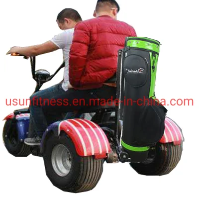 Promozione Hot sale Luxury Club Electric Car Golf a 2 posti Carrelli Scooter Moto biciclette per Golf Club Golf Trolley con CE