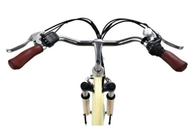 Motore posteriore Hebe 40 nm 250 W 360 wh ed e-bike Electeic City