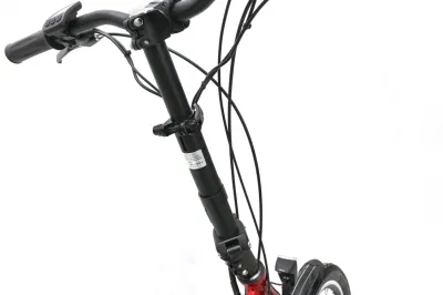 Bicicletta elettrica pieghevole per città con motore da 36 V 250 W in magazzino Europa