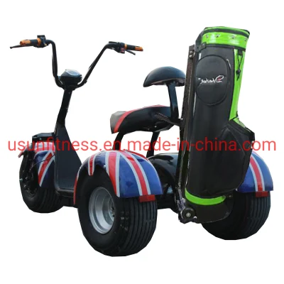 Promozione Hot sale Luxury Club Electric Car Golf a 2 posti Carrelli Scooter Moto biciclette per Golf Club Golf Trolley con CE