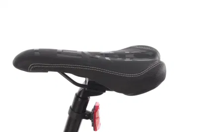 City Man Electric Cycle 26*4.0 750W 1000W /Eletric/ Bike Snow Beach Cruiser bici elettrica Big Power Fat Tire batteria grande Mountain e Bike/biciclette da neve