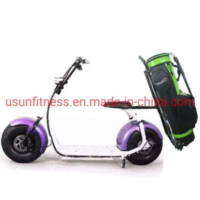 Nuovo scooter elettrico Harley con buona qualità per Donna