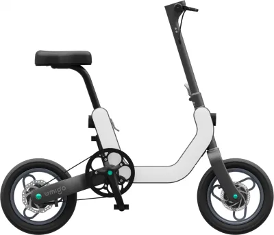 OEM/ODM 250W 36 V 7,8 ah litio bicicletta elettrica pieghevole EBike