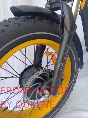 Bicicletta elettrica per trinciatore Ebike Super Dual Motors da 48 V 500 W. Mountain Electric Bicycle
