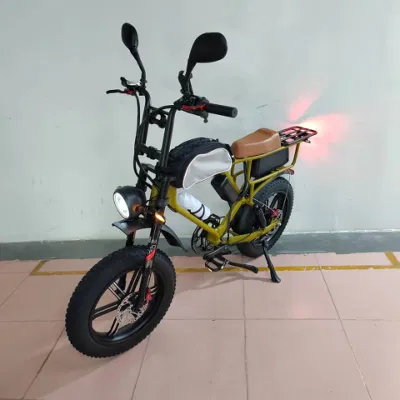 Bicicletta elettrica da città Samsung a batteria da 750 W con motore a bang da 52 V e 22 ah EBike