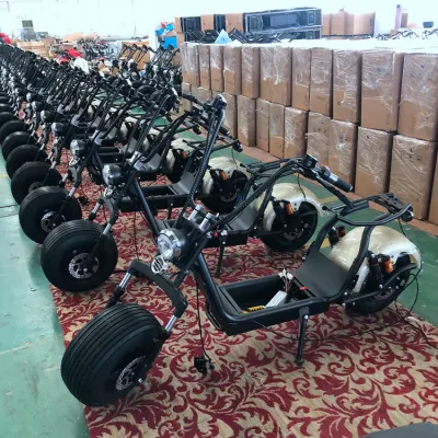 Scooter in Big Motorcycle Cina Mini Prezzo 2000 W 60 V Made Ruote pneumatico tre ruote bici auto-bilanciamento mozzo motore elettrico Scooter
