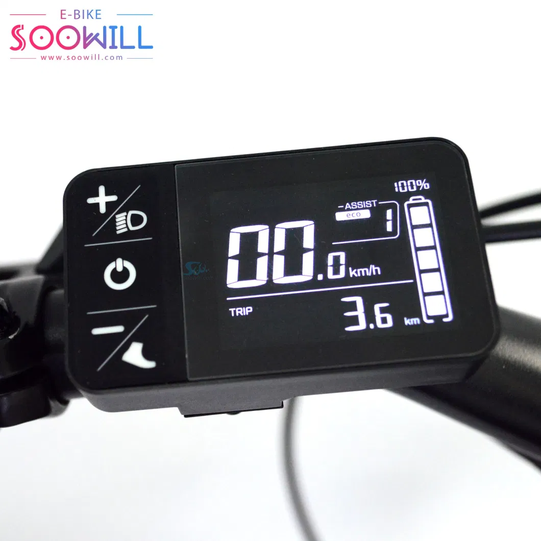 &gt;80 Km Motor Drive 45km/H Lithium Battery for Electric Bike LCD Display Ebike