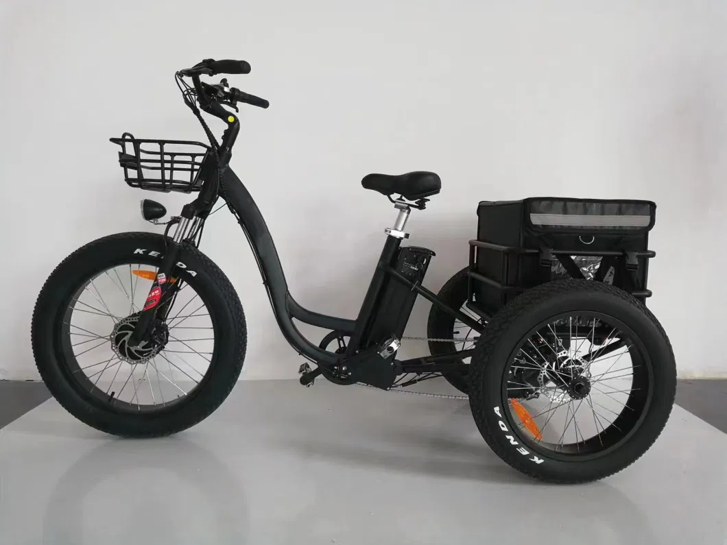 500W High Power Electric Tricycle Fat Tire Shmano 7-Speed Long Distance Fast