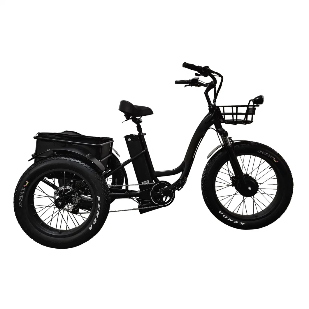 Bafang Motor Front Drive Aluminum Alloy 3 Wheel Cargo 4.0 Inch Fat Tires Adult Electric Tricycle