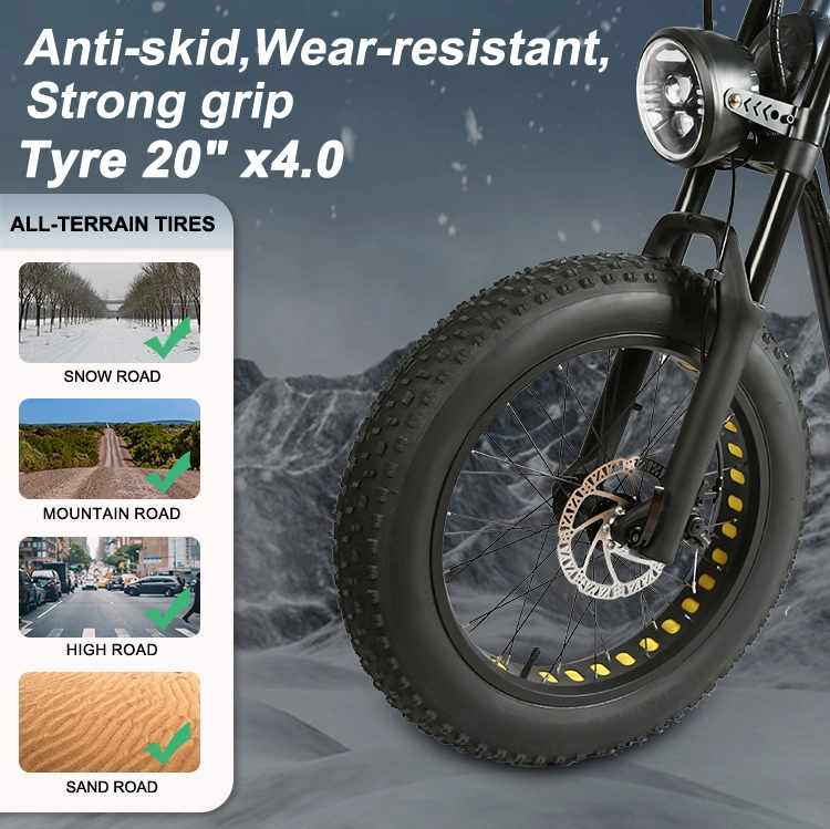 48V DC Ebike 20 Inch Tires Fatbike Fat Bike Bicycle Electric Motorcycle