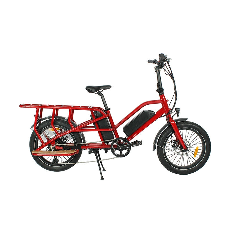 7speed LCD Display 48V15A*2 Dual Battery Dual Motor Cargo Family E Bike Fatbike with En15194