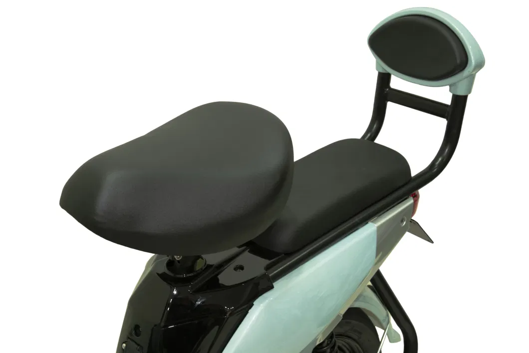 Lead Acid or Lithium Battery Electric Motorcycle Scooter Electric Bike