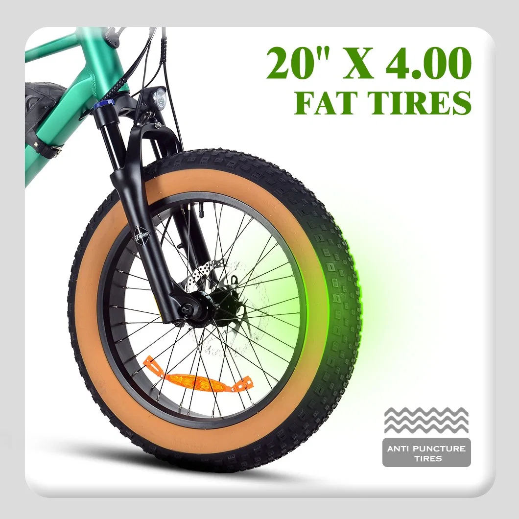 2023 Cute Ebik for Fun 48V Removable Lithium Battery Electric Bike