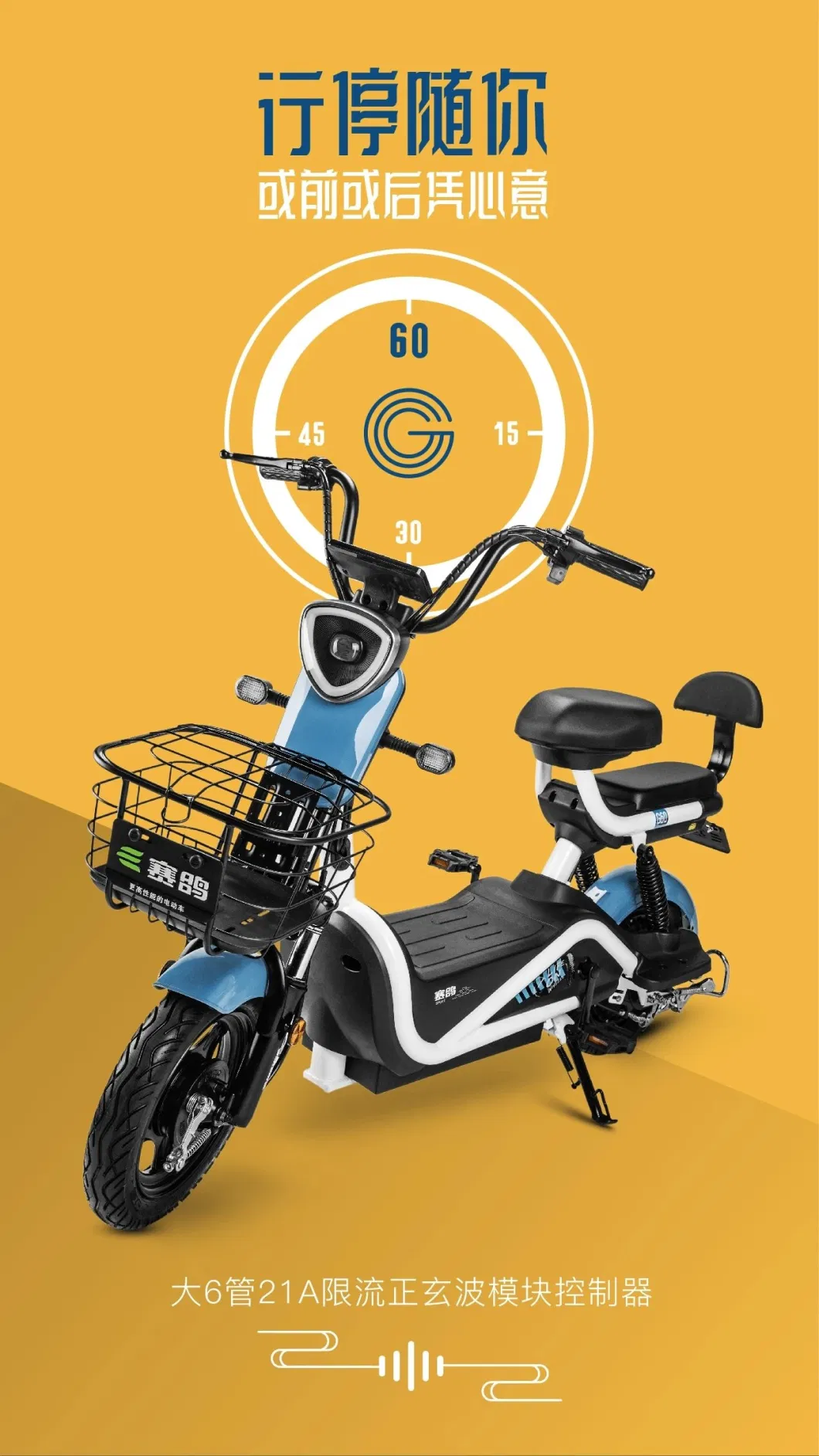 Saige EEC Coc China Factory Direct Sell Cheaper Electric Bike with 25km/H