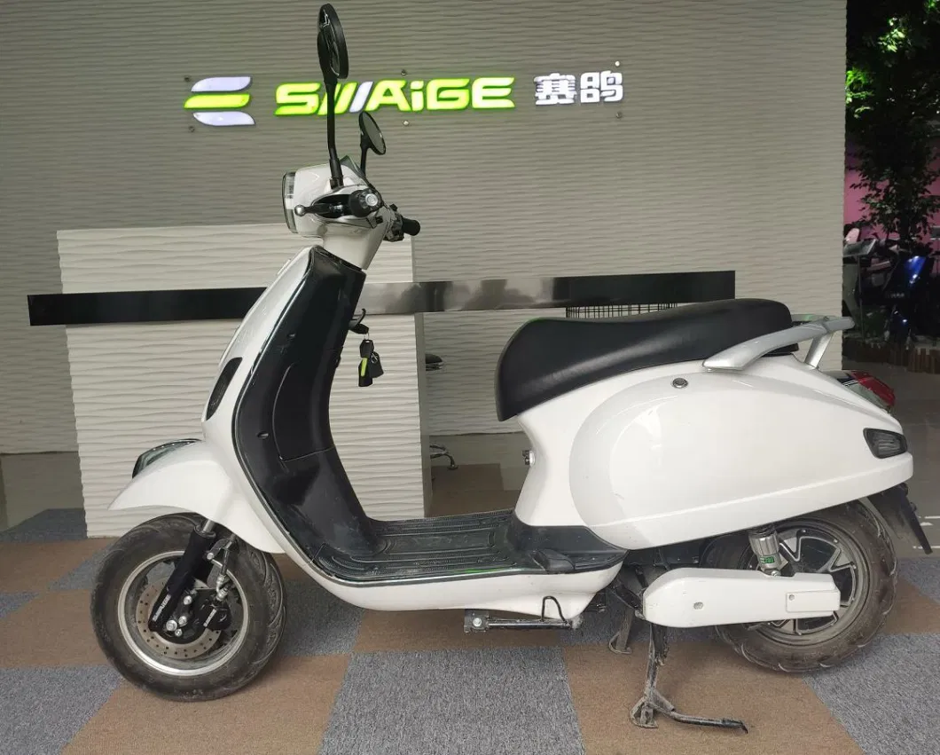 Electric Bicycle 1000W 2 Wheeler EV for Adult Electric Bicycle Motorcycle