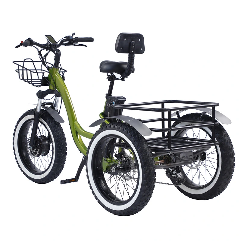 Electric Tricycle Standing Triciclo Electrico De Pasagero Three Wheeled Electric Bike for Adults