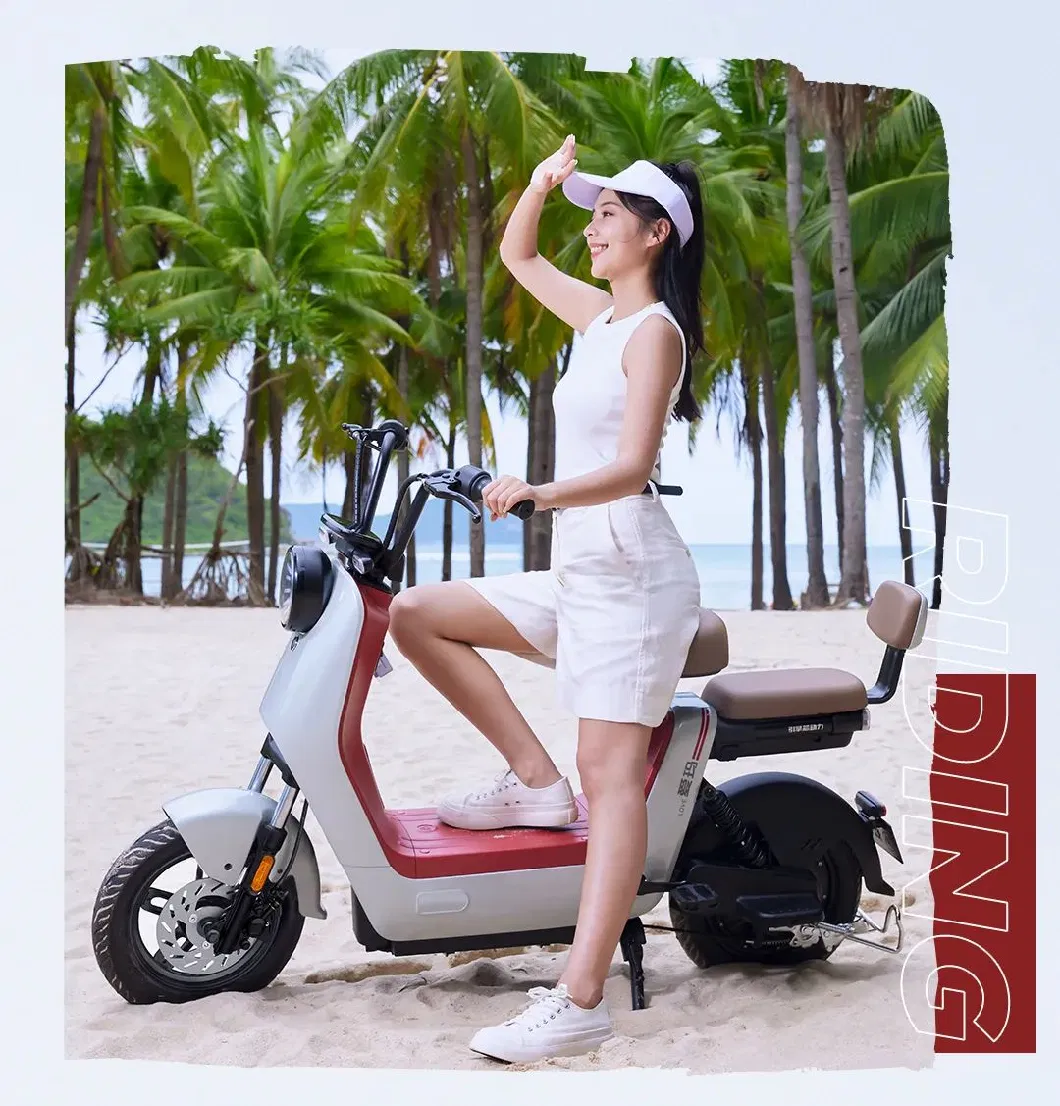 2023 New Arrival Electric Bike Aima Brand E Reach Model Hot Sell