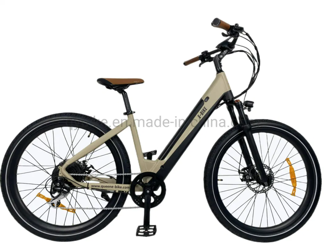Queene Customized New Retro Electric Bike Adult Electric Bicycle with Lithium Battery