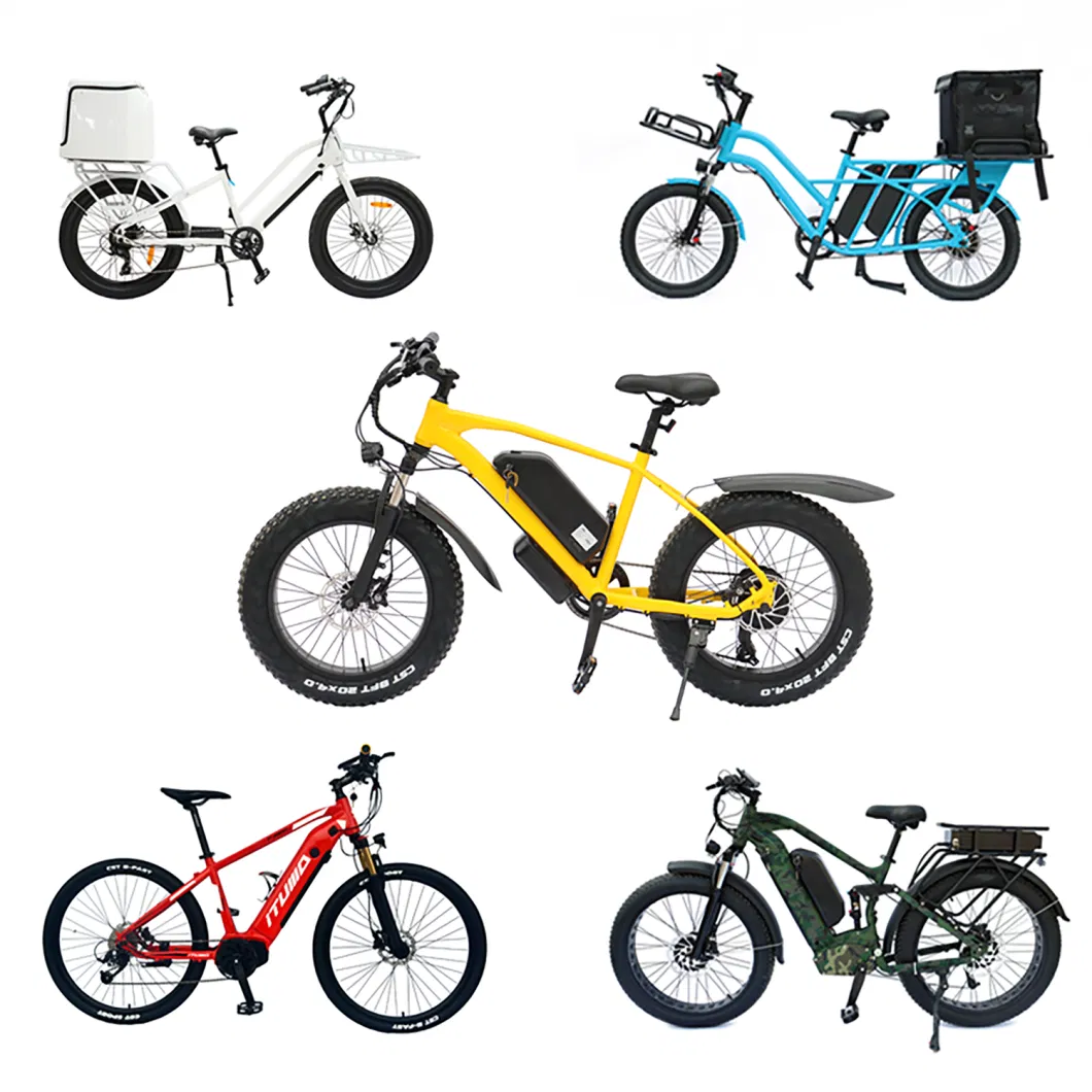 Electric Bike/Emtb/Electric Scooter/Electric Motorcycle/Ebike/Electric Bicycle/Moped