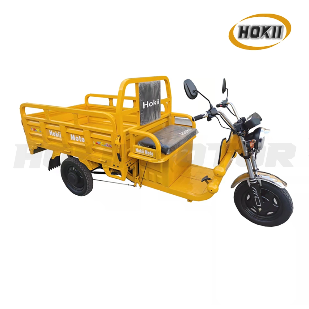 China Manufacturer Popular Model Triciclo Electrico 800W Motor Electric Cargo Tricycle Vehicles for Sale