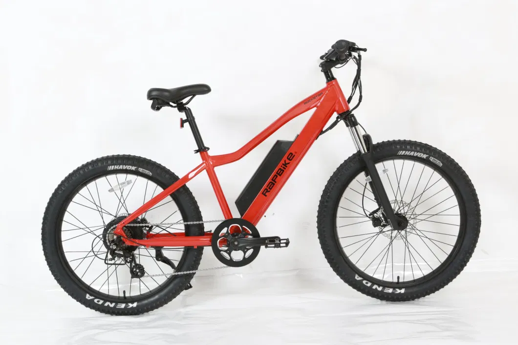 Am2605large Capacity Lithium Battery Fat Tire MTB Ebike in Stock for Adult Two Tire