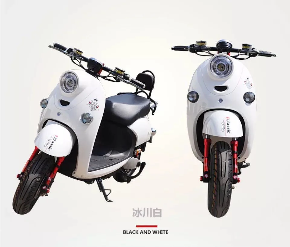 The Most Popular High Speed Adult Electric Motorcycle for Females