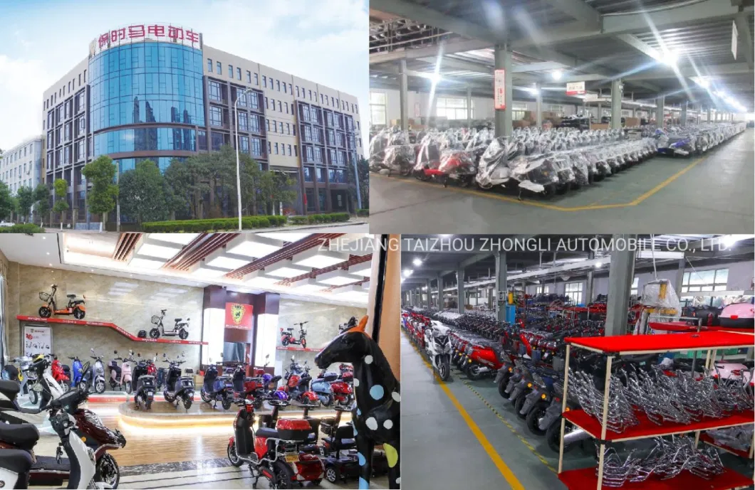 Hot Sale Factory High Quality 2000W Jisu/Electric Scooter/Electric Motorcycle with Battery