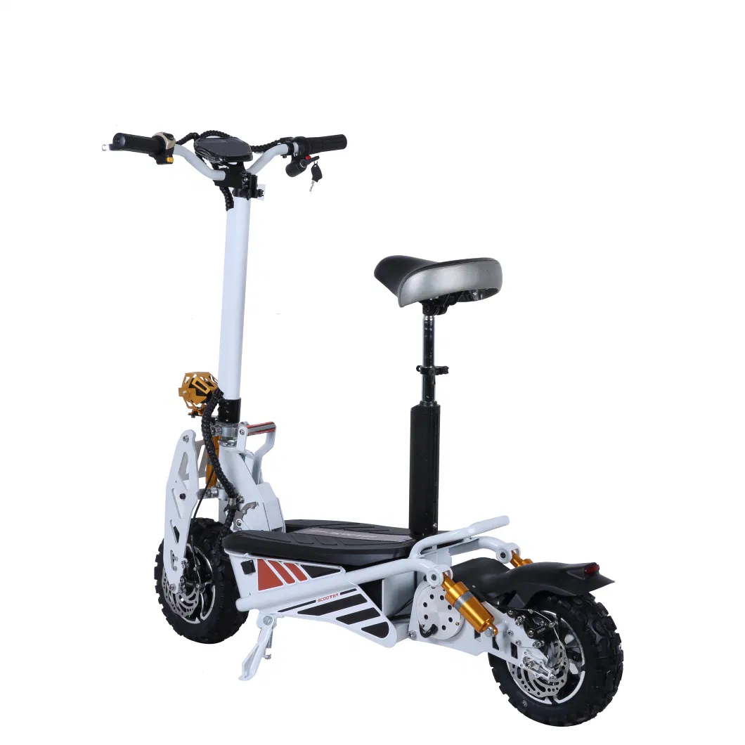 12inch Wheel Electric Bicycle 48V1600W /Electric Dirt Bike 1200W Motor