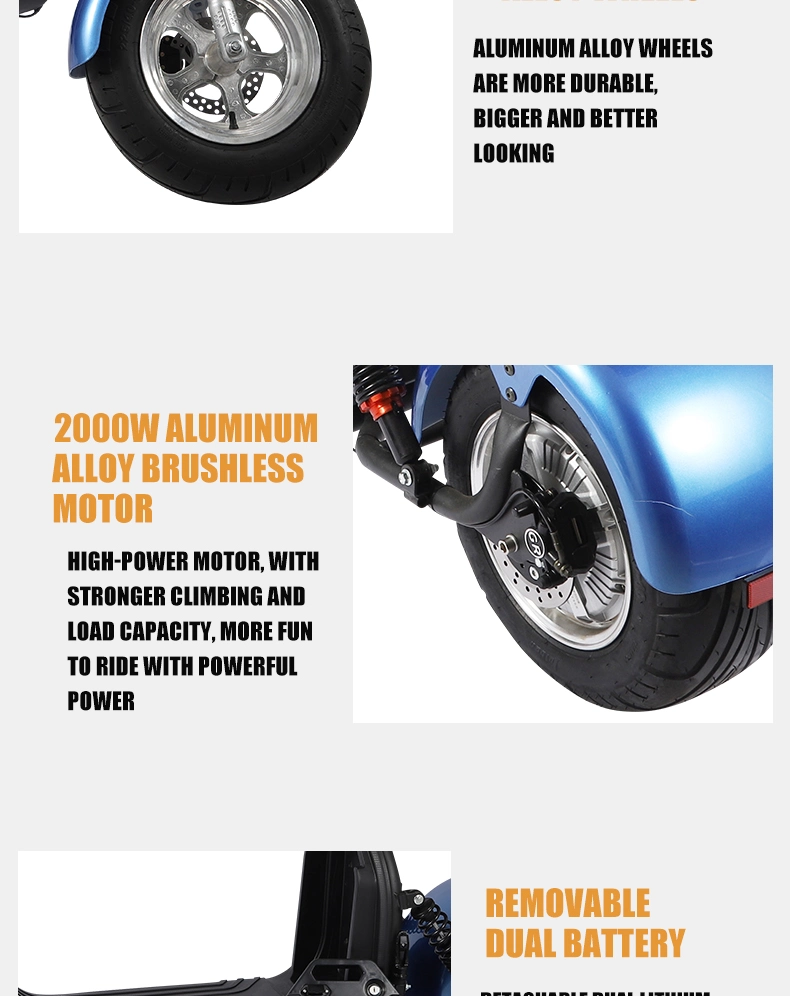 EEC Europe Offroad Adult Powerful City Coco 2000W 3000W Electric Scooter with Fat Bike Tire