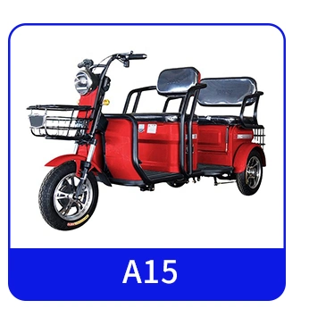 Motorized Adult Tricycles Electric Tricycle Used 3 Wheel Motor