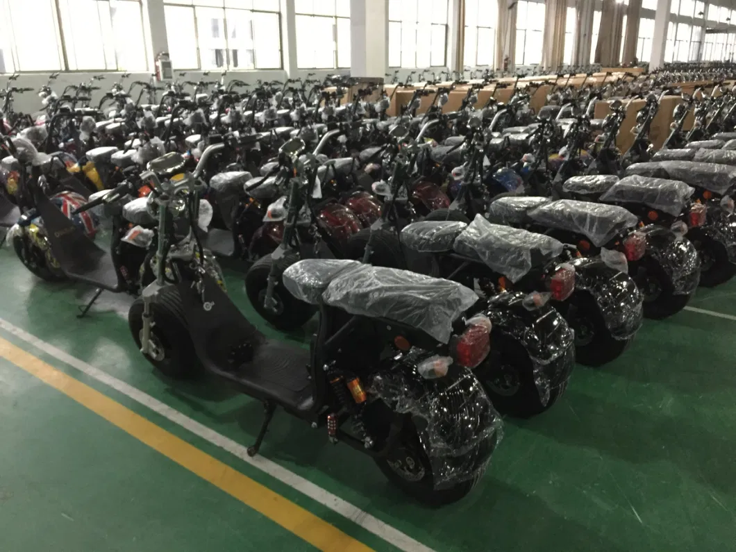 10inch Tyre Moped Motorcycles 2000W 20ah Battery Adult Electric Citycoco Scooters