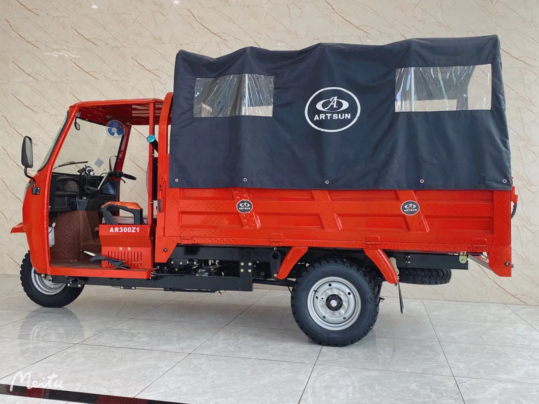 Motorized Tricycles 48V 800W Certificate Best Safety and Popular Cargo Motorized Tricycle