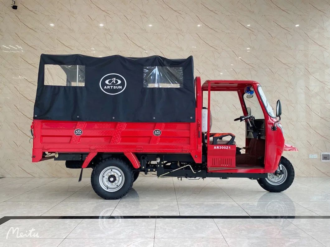 Motorized Tricycles 48V 800W Certificate Best Safety and Popular Cargo Motorized Tricycle