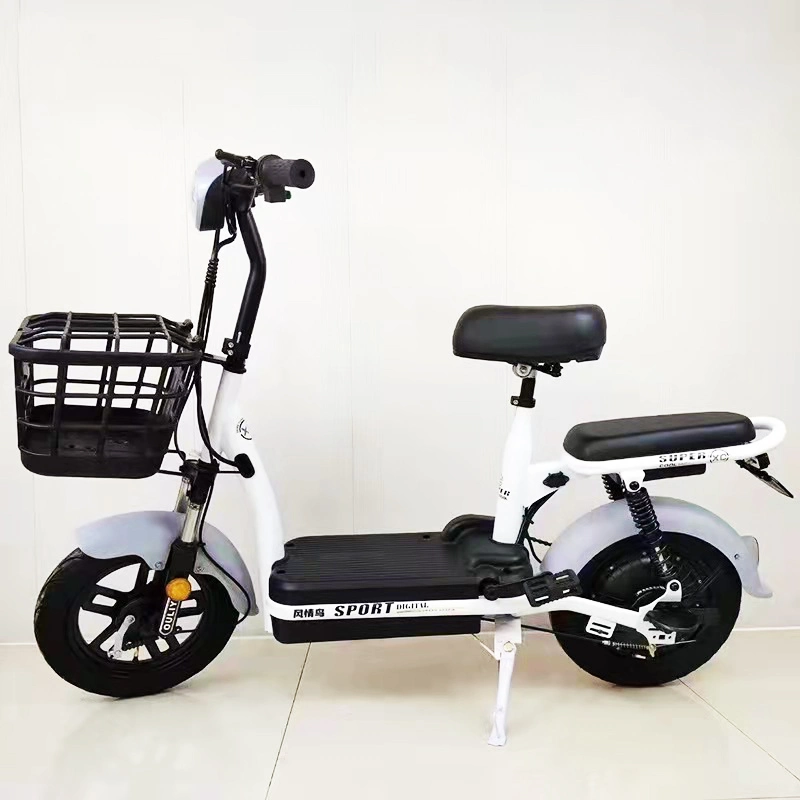 Popular Sale in China14&quot; E-Bike Cheap Electric Bicycle 350W 48V Electric Bike