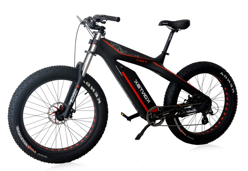 China Factory Electric Bike 48V Fat Tire Electric Bike Mountain Bike 1000W Electric Bycicle for Adult