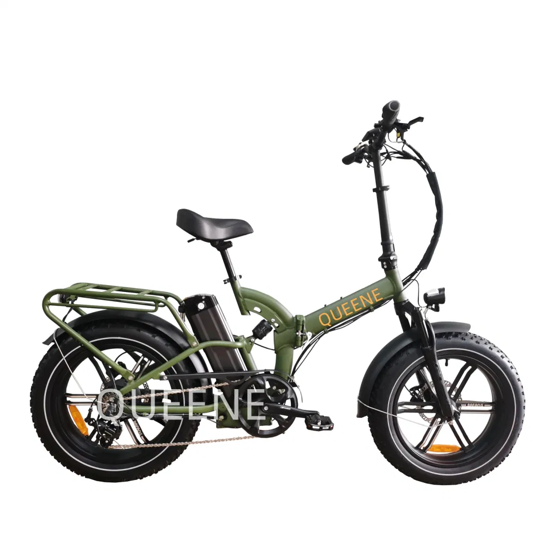 Queene/Lithium Battery City Road Mountain Fat Tire Electric Cycle