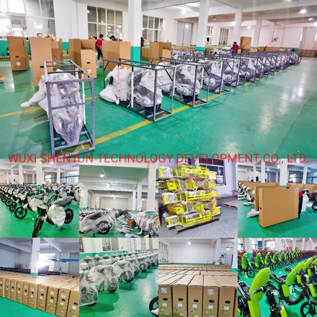 China Shenyun Manufacturer Safe Speed Cheap Adult CKD Electric Bicycle Electric Scooter