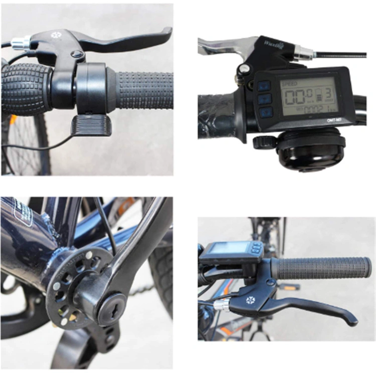 26&prime;&prime; 28&prime;&prime;inch Tire Conversion Kits for Electric Bike 48V 1000W LCD Display Ebike Kit